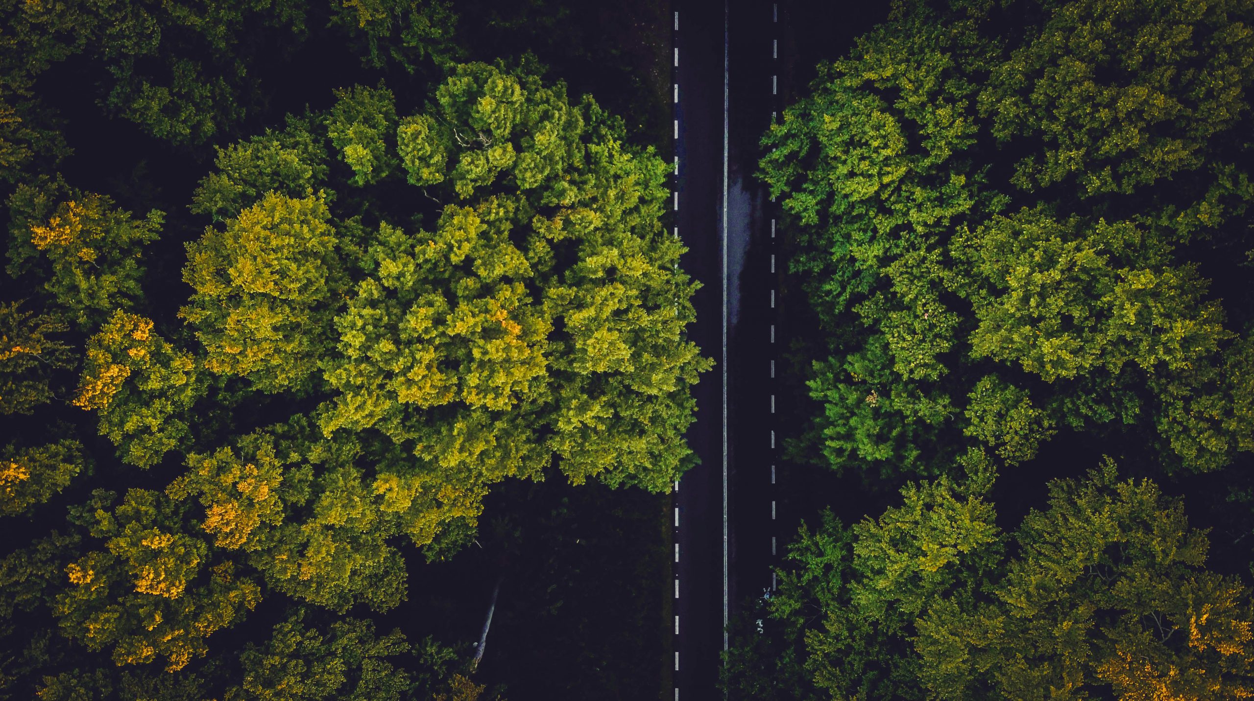 sky view of nature